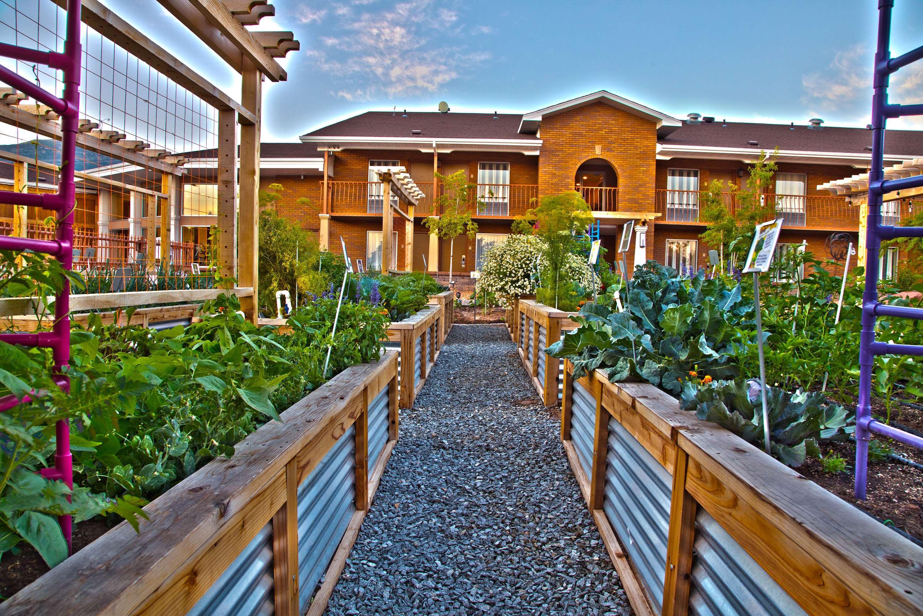Best Western Plus Cedar City Luaran gambar