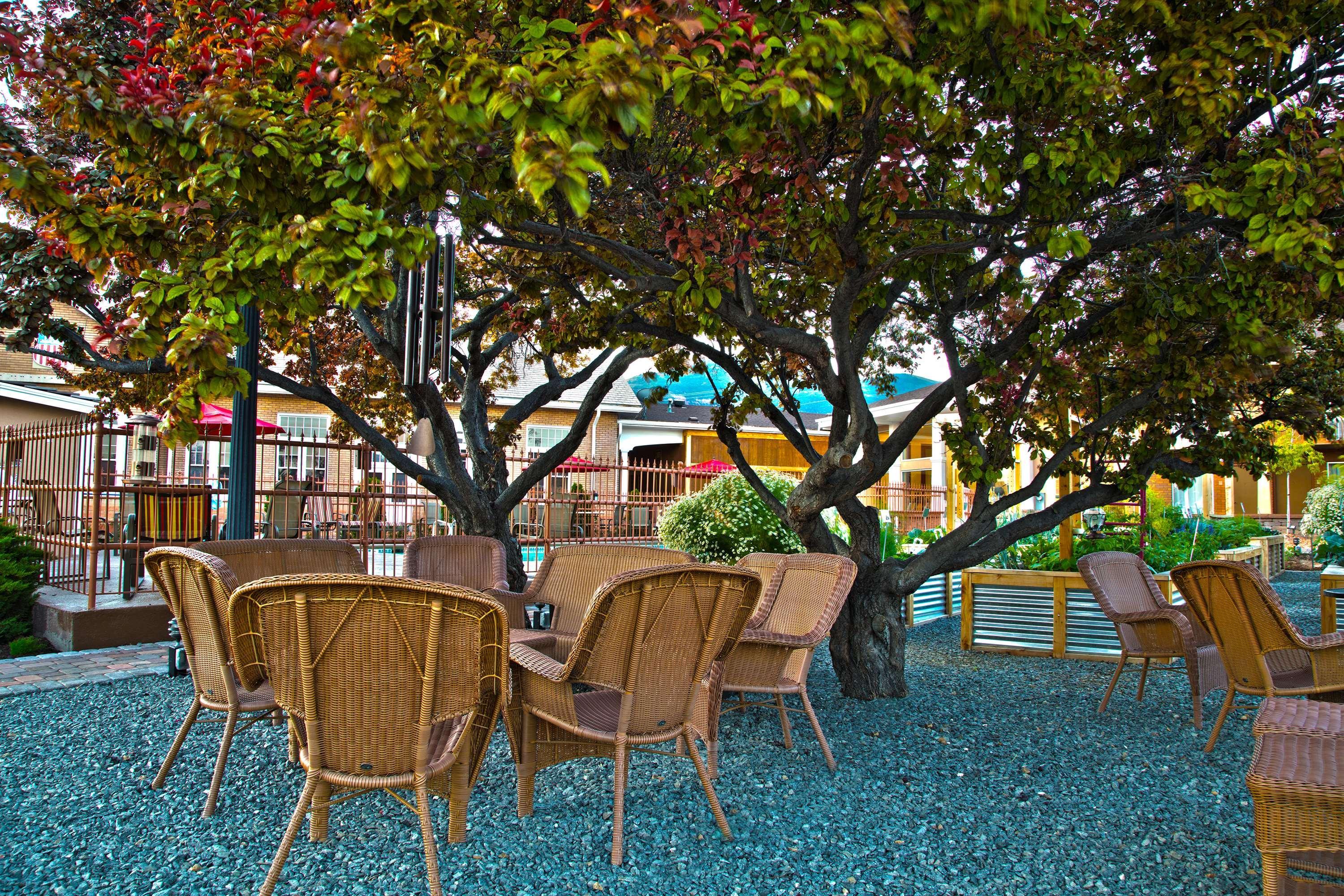 Best Western Plus Cedar City Luaran gambar